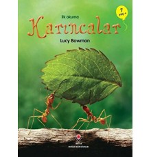 İlk Okuma - Karıncalar