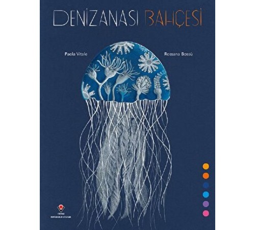 Denizanası Bahçesi