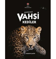 Anadolu'Daki Vahşi Kediler