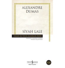 Siyah Lale - Hasan Ali Yücel Klasikleri