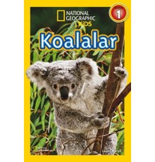 National Geographic Kids - Koalalar