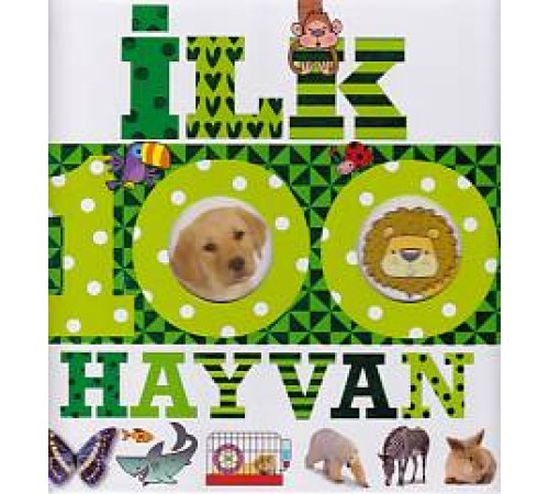 İlk 100 Hayvan (Büyük Boy)