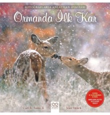 Fotoğraflarla Anlatılan Öyküler - Ormanda İlk Kar