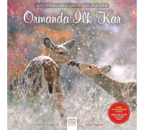 Fotoğraflarla Anlatılan Öyküler - Ormanda İlk Kar
