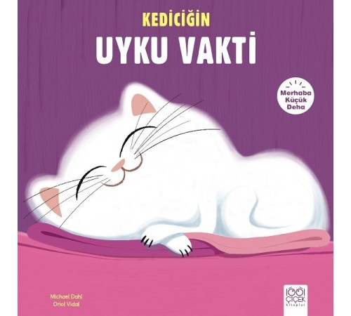 Merhaba Küçük Deha - Kediciğin Uyku Vakti