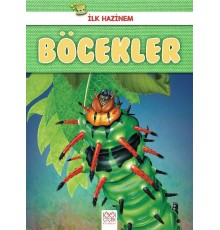 İlk Hazinem - Böcekler