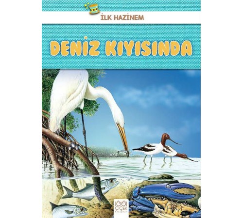 İlk Hazinem - Deniz Kıyısında
