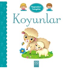 Hayvanları Tanıyalım  - Koyunlar