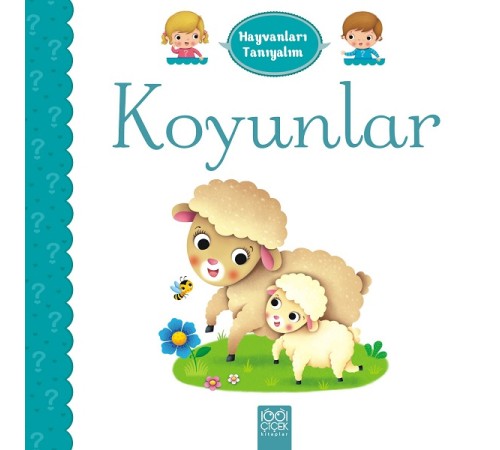 Hayvanları Tanıyalım - Koyunlar Hayvanları Tanıyalım - Koyunlar