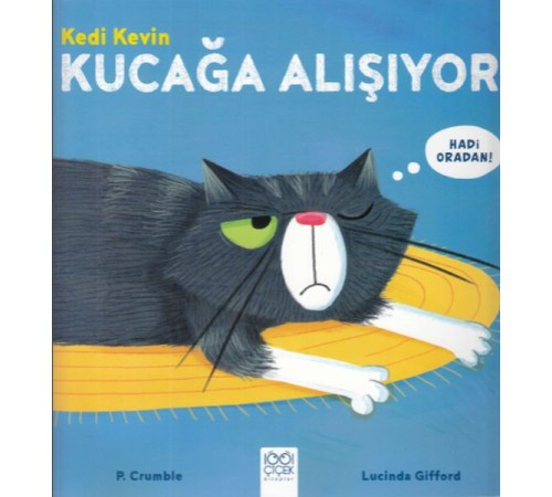 Kedi Kevin - Kucağa Alışıyor Kedi Kevin - Kucağa Alışıyor
