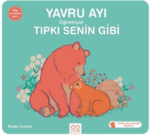 Yavru Ayı Öğreniyor Tıpkı Senin Gibi Yavru Ayı Öğreniyor Tıpkı Senin Gibi