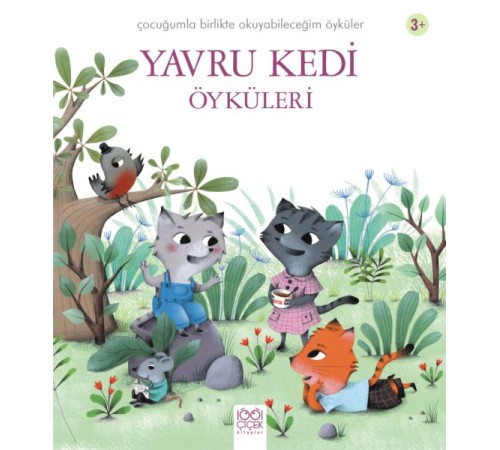 Yavru Kedi Öyküleri Yavru Kedi Öyküleri