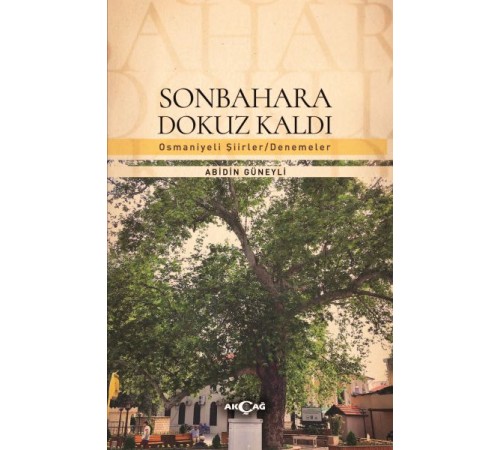 Sonbahara Dokuz Kaldı