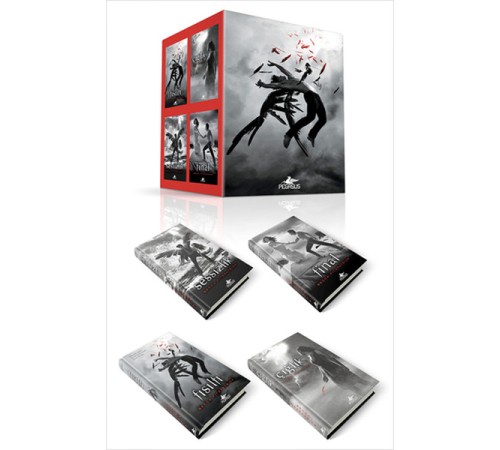 Hush Hush Serisi Seti (4 Kitap)