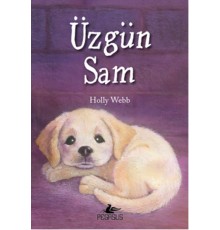Üzgün Sam