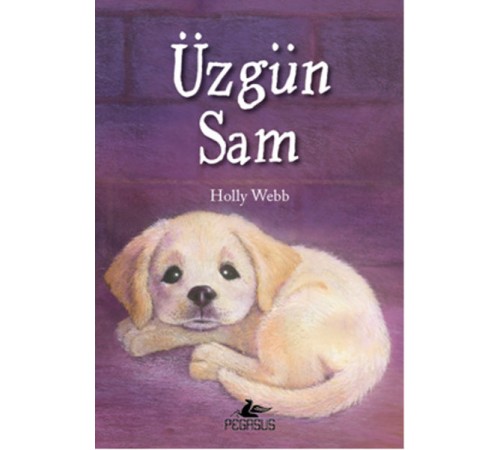 Üzgün Sam Üzgün Sam
