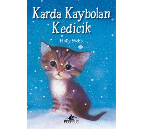 Karda Kaybolan Kedicik