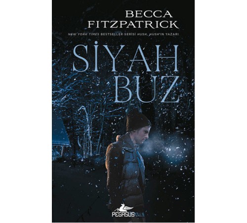 Siyah Buz