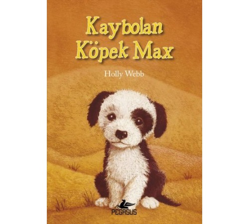 Kaybolan Köpek Max