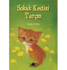 Sokak Kedisi Tarçın