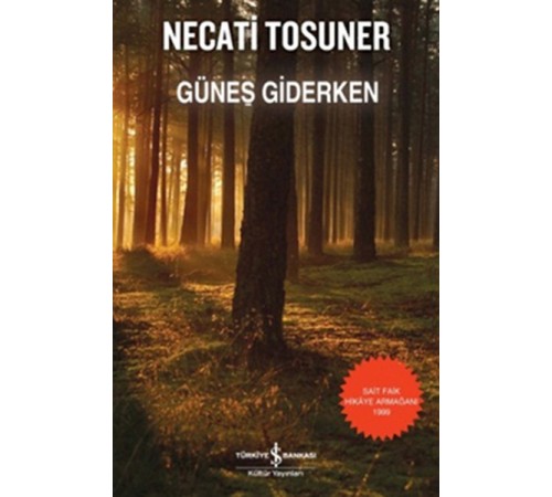 Güneş Giderken