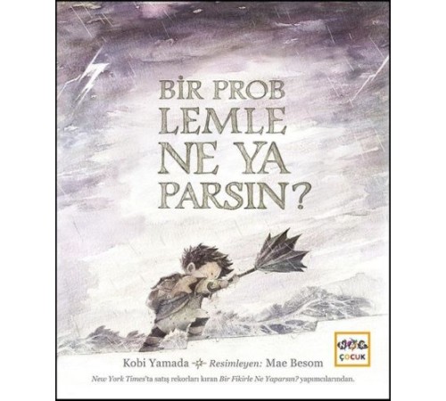 Bir Problemle Ne Yaparsın? (Ciltli)
