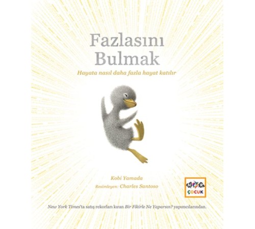 Fazlasını Bulmak