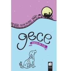 Gece - Harika Bir Plan