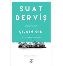 Çılgın Gibi