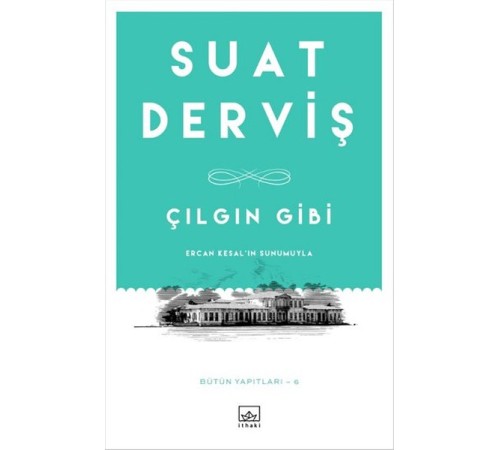 Çılgın Gibi Çılgın Gibi