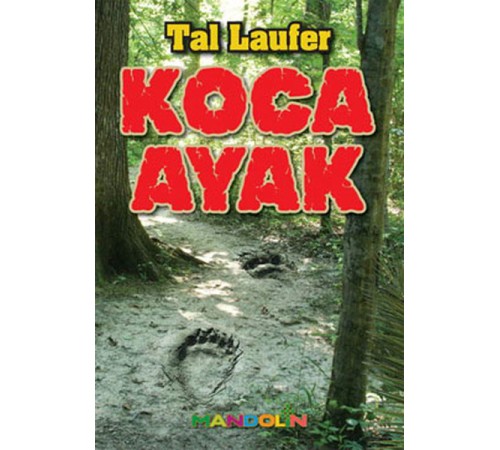 Koca Ayak