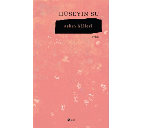 Aşkın Halleri