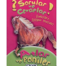 Sorular Ve Cevaplar Kart Atlar Ve Poniler