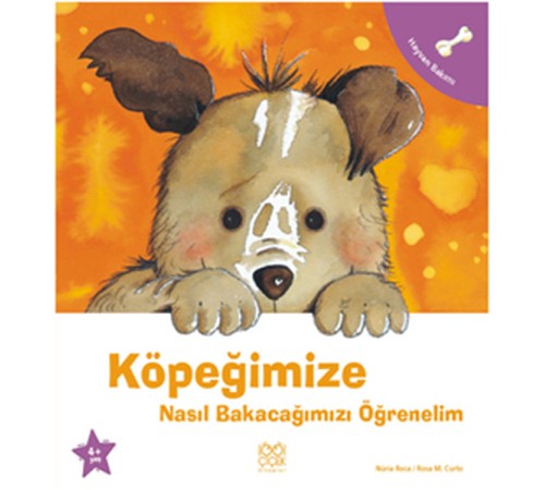 Köpeğimize Nasıl Bakacağımızı Öğrenelim Köpeğimize Nasıl Bakacağımızı Öğrenelim