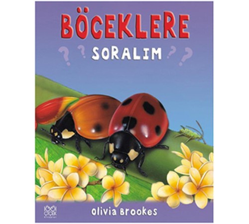 Böceklere Soralım