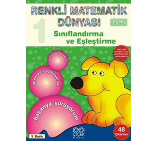 Sınıflandırma ve Eşleştirme / Renkli Matematik Dünyası 1