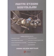 Amitai Etzioni Sosyolojisi