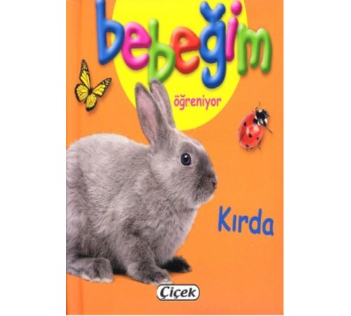 Bebeğim Öğreniyor - Kırda Bebeğim Öğreniyor - Kırda