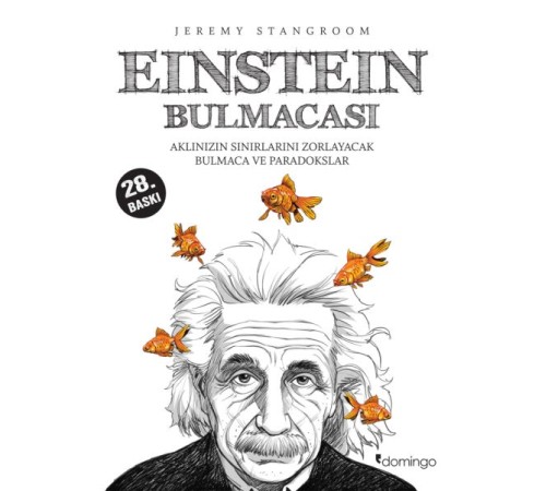Einstein Bulmacası  Aklınızın Sınırlarını Zorlayacak Bulmaca ve Paradokslar