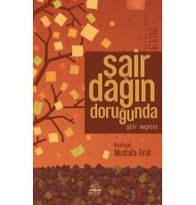 Şair Dağın Doruğunda 2013