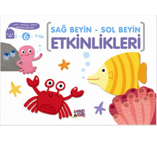 Sağ Beyin - Sol Beyin Etkinlikleri (6 Yaş) Sağ Beyin - Sol Beyin Etkinlikleri (6 Yaş)