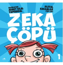 Zeka Çöpü 1- Dijital Rakamlar (Tek Çöp)