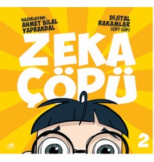 Zeka Çöpü 2- Dijital Rakamlar (Çift Çöp)