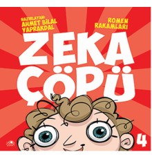Zeka Çöpü 4- Romen Rakamları