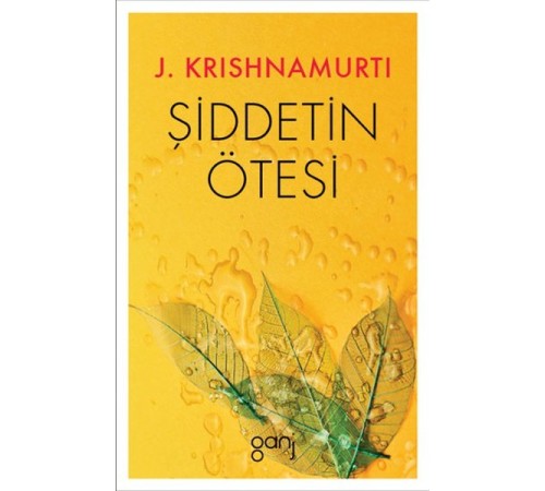 Şiddetin Ötesi Şiddetin Ötesi