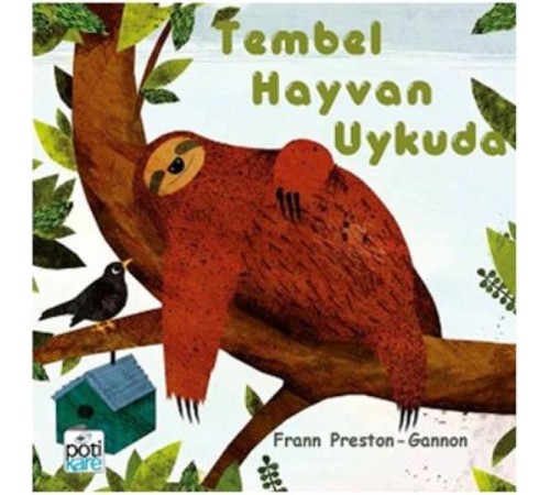 Tembel Hayvan Uykuda Tembel Hayvan Uykuda