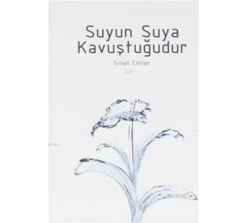 Suyun Suya Kavuştuğudur