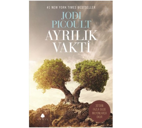 Ayrılık Vakti