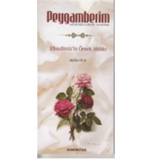 Peygamberim (s.a.s.)  Efendimiz'in Örnek Ahlakı