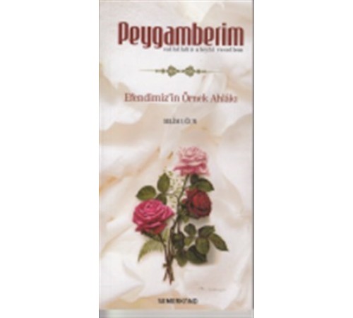 Peygamberim (s.a.s.)  Efendimiz'in Örnek Ahlakı